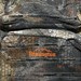 %D0%A0%D1%8E%D0%BA%D0%B7%D0%B0%D0%BA_Remington_Backpack_Soft_trail_Timber_2